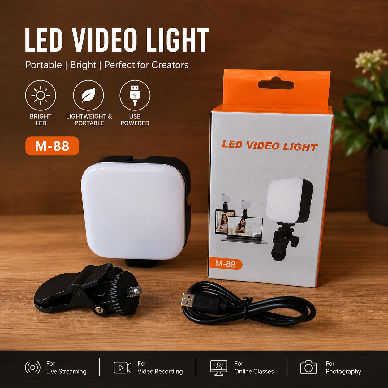 IMG_0568 Vlogging Light